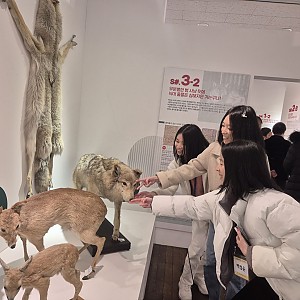 주간활동서비스 문화관람