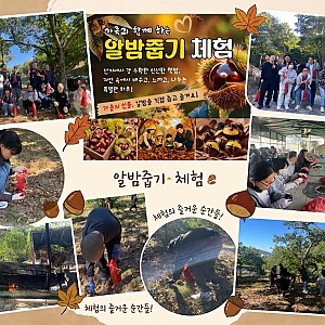 [주간활동서비스]-알밤줍기체험