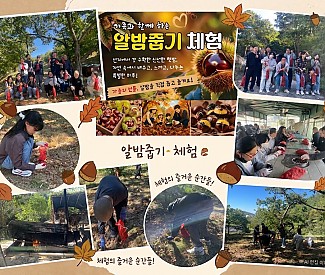 [주간활동서비스]-알밤줍기체험